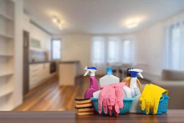 Denver cleanout services